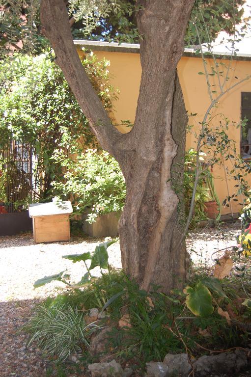 Arena Alfieri B&B Ліворно Екстер'єр фото